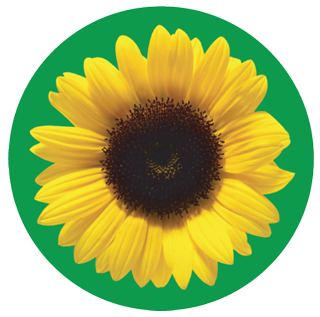 Hidden Disabilities Sunflower logo
