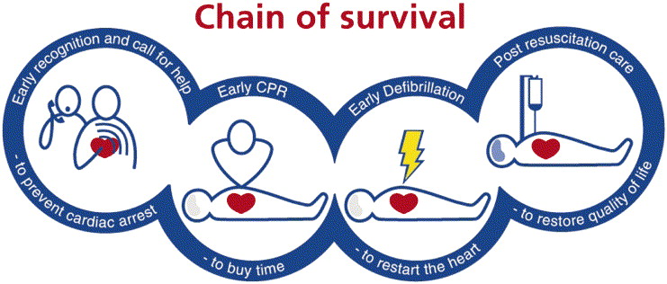 Chain of survival diagram
